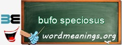 WordMeaning blackboard for bufo speciosus